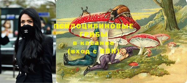 прущая мука Костерёво