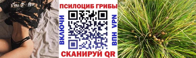 Галлюциногенные грибы GOLDEN TEACHER  Купить  Заинск 