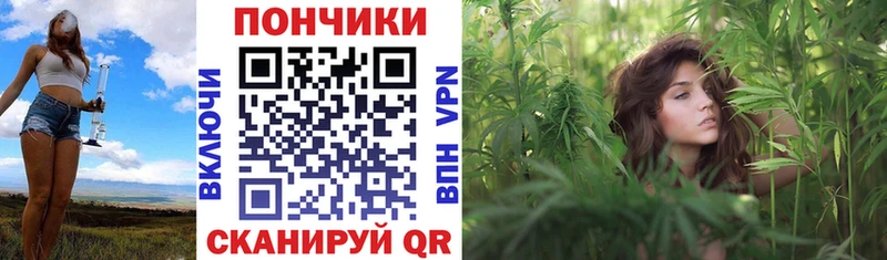 Конопля семена  Купить где  Заинск 